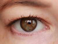 Линзы для карих глаз Acuvue Define Natural Shimmer